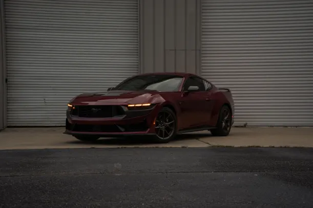 블루레오 카지노 안드로이드/iOS 앱